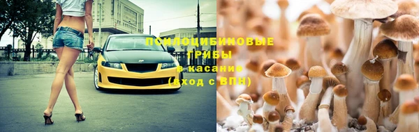 герыч Каменногорск