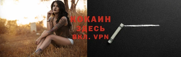 соль ск Каменск-Шахтинский