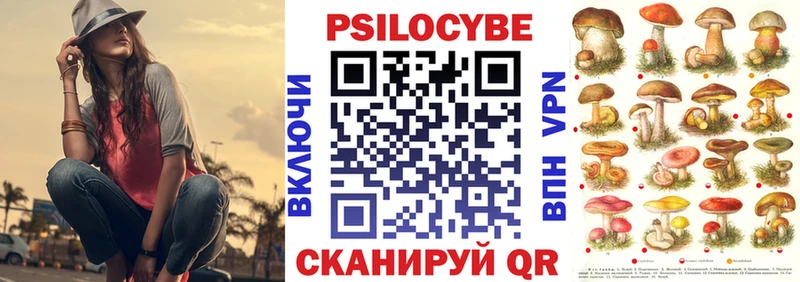 Купить закладки  Ставрополь  Галлюциногенные грибы мицелий 